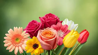 Related Stories banner