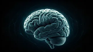 Beyond Diet & Exercise: Unveiling the Crucial Link Between Sleep and Serious Health Issues