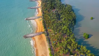 How Eastern Coast Villages Use Mangrove Bio-Shields To Prevent Severe Coastal Erosion During Storms