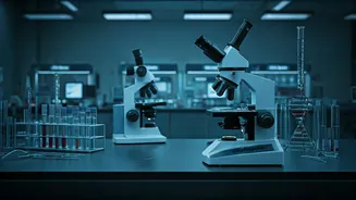 Allahabad High Court Highlights Critical Staff Shortage Crippling UP Forensic Labs