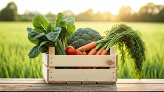 Akshayakalpa Organic Expands to Mumbai & Pune: Bringing Farm-Fresh Goodness