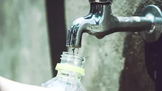 How Rice Husk Bio-Char Removes Dangerous Microplastics From Municipal Tap Water