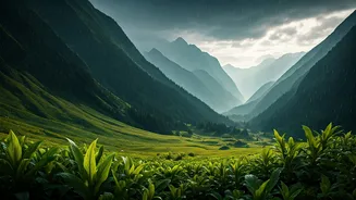 Gangtok's June Travel Mood Is Cool And Cinematic