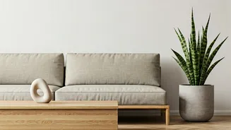 This Décor Trend Looks Effortlessly Elegant