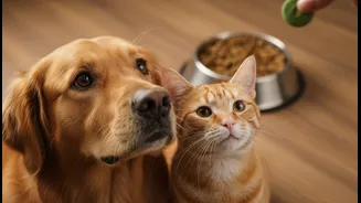 Pamper Pets Without Turning Treats Into Meals