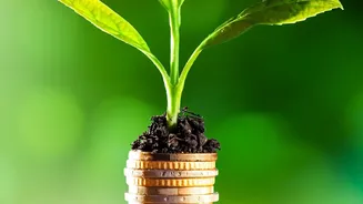 How Index Fund Returns Turn Small Regular Savings Into Strong Personal Financial Reserves