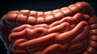 Bloating Foods: Understanding & Relief Strategies