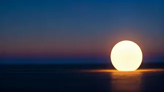 5 AM Affirmations: Master Your Morning, Empower Your Day