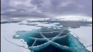 Scientists Track Alarming Changes In Antarctic Sea Ice