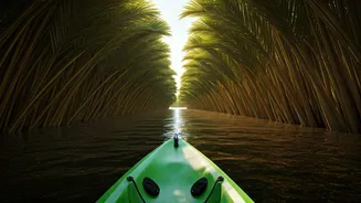 Skip The Crowds, Explore Backwaters By Kayak
