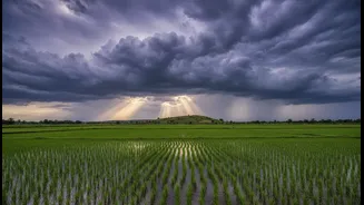 How India's Monsoon Can Beat Expectations During El Niño