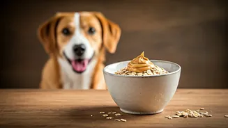 Conscious Pet Owners Swap Packaged Foods For Oatmeal Peanut Butter