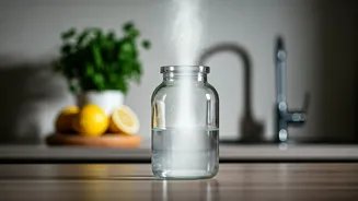 Beyond the Scent: Unmasking Kitchen Odors and Finding True Freshness