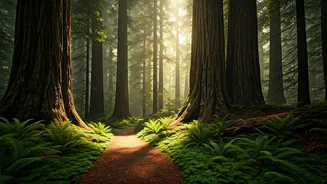 Step Back in Time: 10 Ancient Forests You Can Still Explore Today