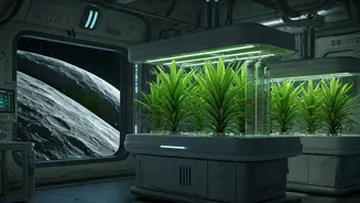 Astronauts May Grow Medicines During Moon Missions