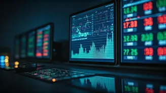 Navigating the Stock Market: Insights & Strategies