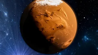 The Mars Farming Challenge: Water, Soil, Light And Plant Growth Explained