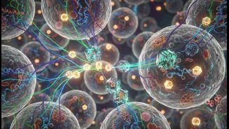 What the latest clinical trials reveal about non-caloric sweeteners and metabolic dysfunction