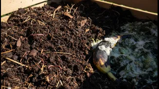 The Bin Should Smell Earthy, Not Sour or Rotten