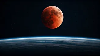 Related Stories banner