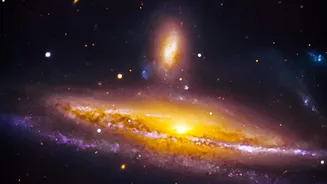 Square Kilometre Array SKA Telescope Uses Dishes To Capture Deep-Space Early Signals