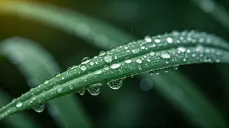 Rainy Season Skincare Gets A Fresh Twist