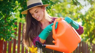 How To Avoid Common Watering Mistakes During Damp Weather
