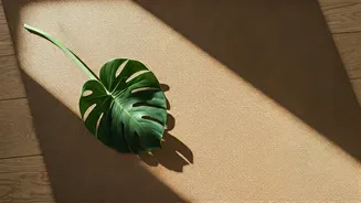 Ankita Konwar's Energizing Mornings: Beyond Just Waking Up Early, Milind Soman Chimes In