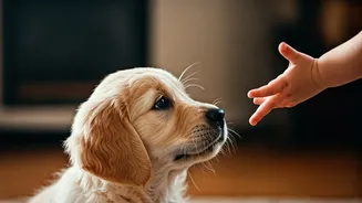 7 Kid-Loving Dog Breeds: Your Little Guardians for Family Fun