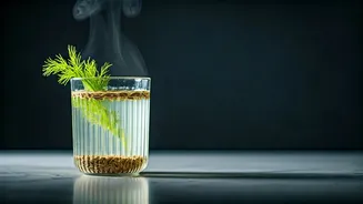 Instant Energy Hack: Drink Warm Fennel Water Post-Meals