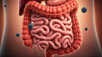 Air Pollution & Your Gut: The Unseen Connection