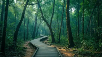 South Andaman's Rainforest Birding Trail Adds New Context to South Andaman Birding Planning