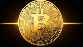 Understanding the Digital Currency World