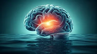 Unlocking Your Health: How Cutting Sugar Transforms Your Body and Brain