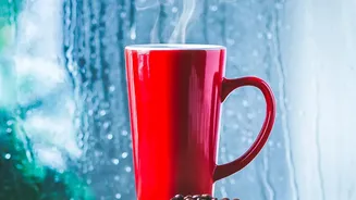 How To Reduce Damp Odours In A Home During Weeks Of Monsoon Rain