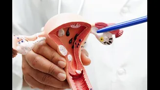 Expert Clears Myths That Are Stopping Women From Taking The Pap Smear Test