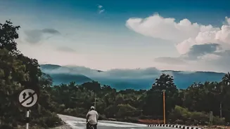 How To Plan A Scenic Monsoon Road Trip From Bangalore To Agumbe Rainforests