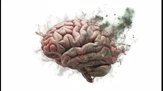 Brain-Health Advice Should Include Pollution Exposure, Not Just Puzzles