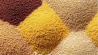 Taste Meets Nutrition: The Hottest Food Trend In India