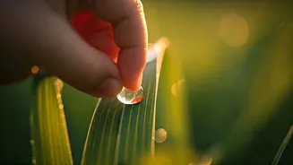 Related Stories banner