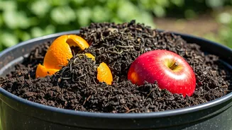 Tea Leaves And Peels Can Build Rich Soil