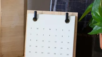 Organise Plans For A Rental-Home Maintenance Calendar Around Damp Spots And Drains And Small Repairs