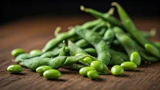 Edamame Recipes Bring Crunch, Colour And Nutrition
