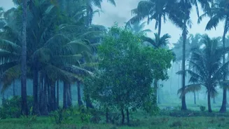 Monsoon Withdrawal Signals Emerge: What They Could Mean For India's September