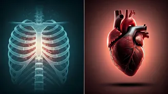Chest Pain: Distinguishing Gas Discomfort from Cardiac Emergencies