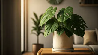 Winter Houseplant Woes? Expert Solutions for Thriving Greenery Indoors
