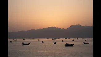 30 India-Bound Ships Cross Strait Of Hormuz, 26 Await Transit As Gulf Maritime Traffic Improves