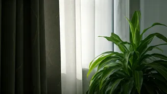 Slash Your Summer AC Bill: 7 Smart Tips for Cooler, Cheaper Indoors