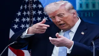 ‘Camel dreams of cottonseed…’: Iran ridicules Trump’s claims of peace deal using Persian proverb