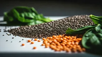 What Foods Digest Easily? Experts Reveal All.